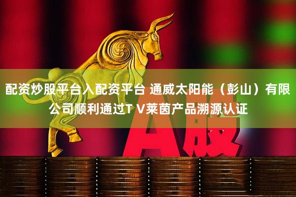配资炒股平台入配资平台 通威太阳能（彭山）有限公司顺利通过T V莱茵产品溯源认证