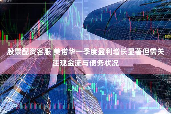 股票配资客服 美诺华一季度盈利增长显著但需关注现金流与债务状况